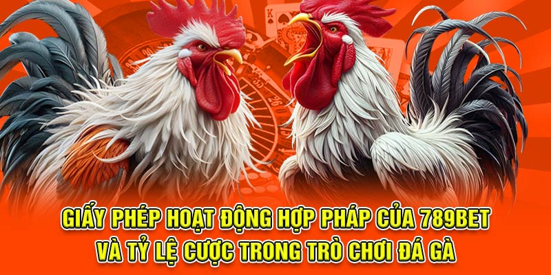 Giấy phép hoạt động hợp pháp và tỷ lệ cược trong trò chơi đá gà