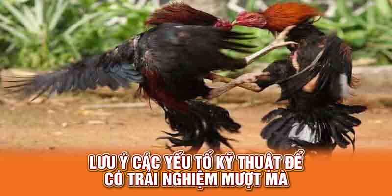 Lưu ý các yếu tố kỹ thuật để có trải nghiệm mượt mà