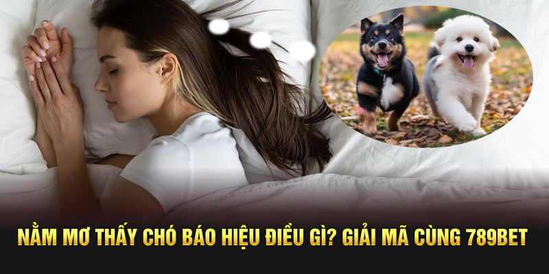 nằm mơ thấy chó