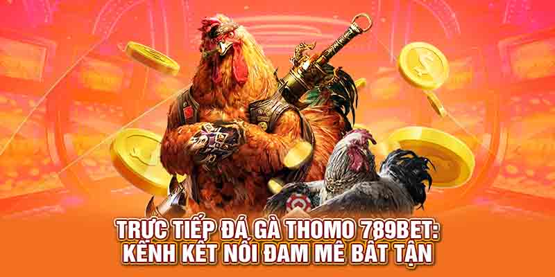 trực tiếp đá gà thomo